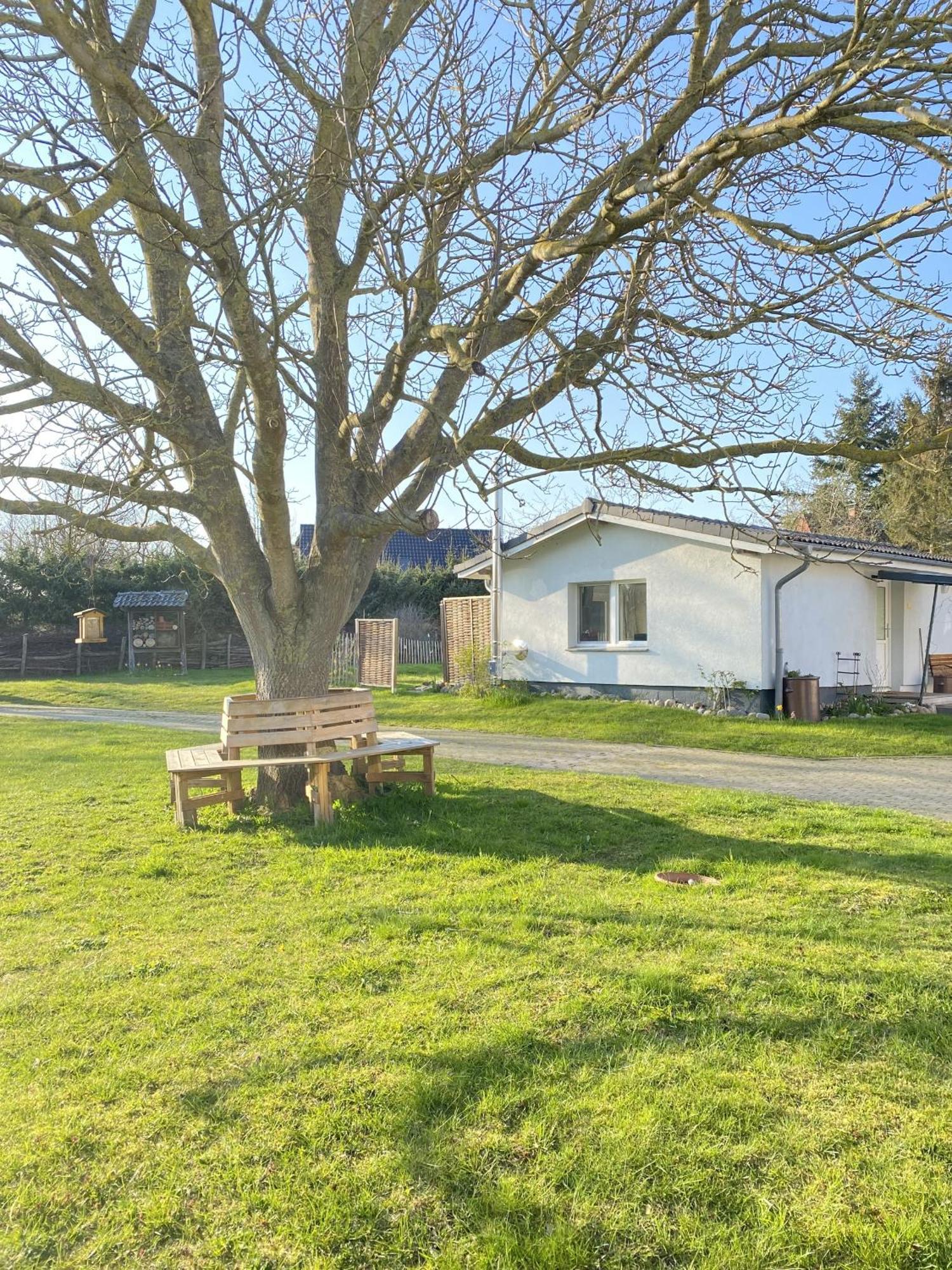 Apfelhof Villa Grundshagen Rum bild